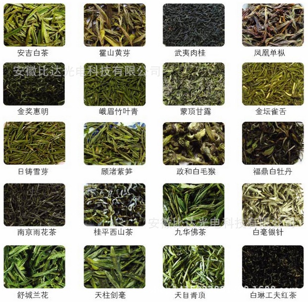 茶葉 (2)